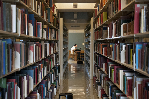 Study carrels in the stacks at Davis Library