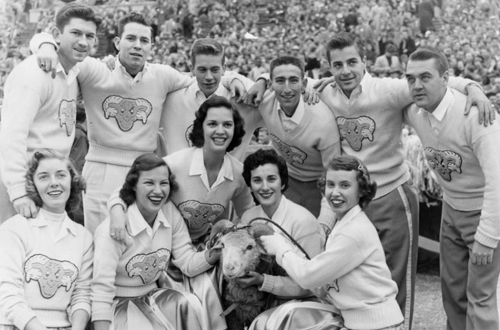 UNC cheerleaders with ram mascot at sporting event