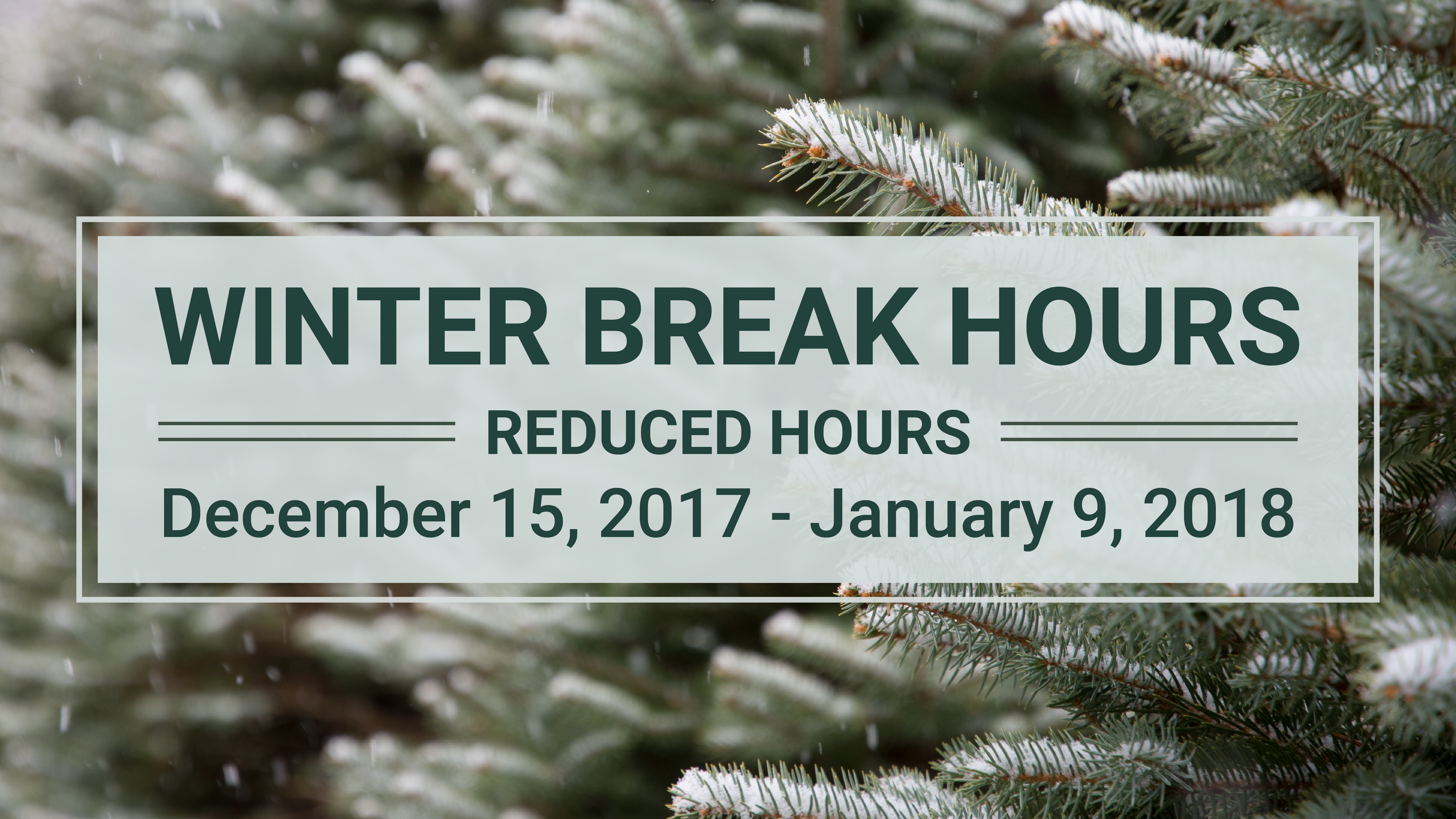 Winter Break Library Hours
