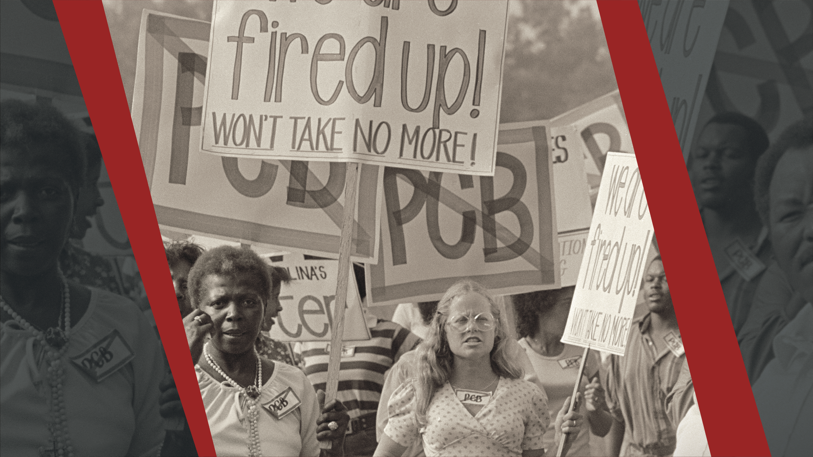 We Birthed the Movement: The Warren County PCB Landfill Protests, 1978-1982