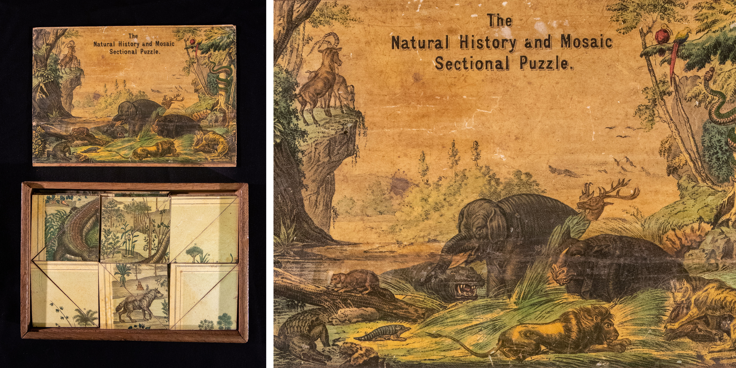 Photograph of an open puzzle box. The puzzle shows a fantastical scene of a jungle with many different animals and creatures.