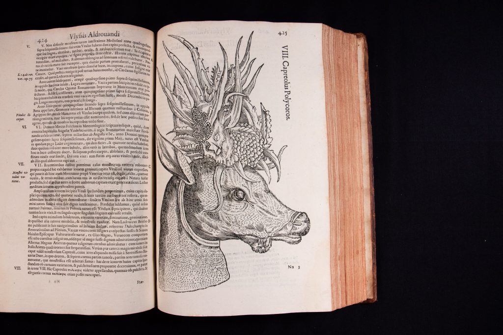 Open book showing an intricate illustration of a mystical horse creature.